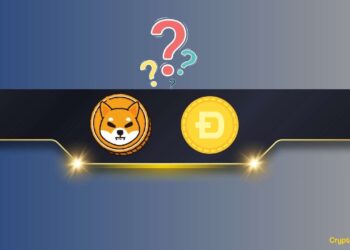 It’s Not SHIB or DOGE
