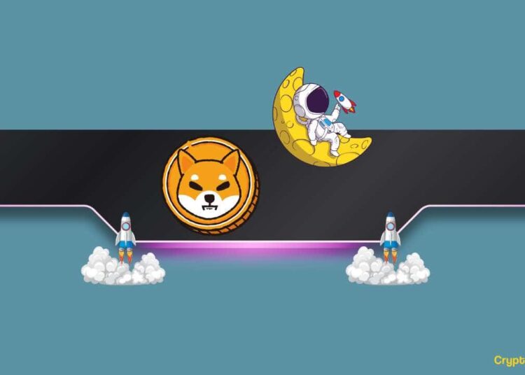 Here’s How Many Holders are Currently in Profit