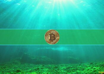 The Bottom Is In On Bitcoin’s Latest Pullback, Says Willy Woo