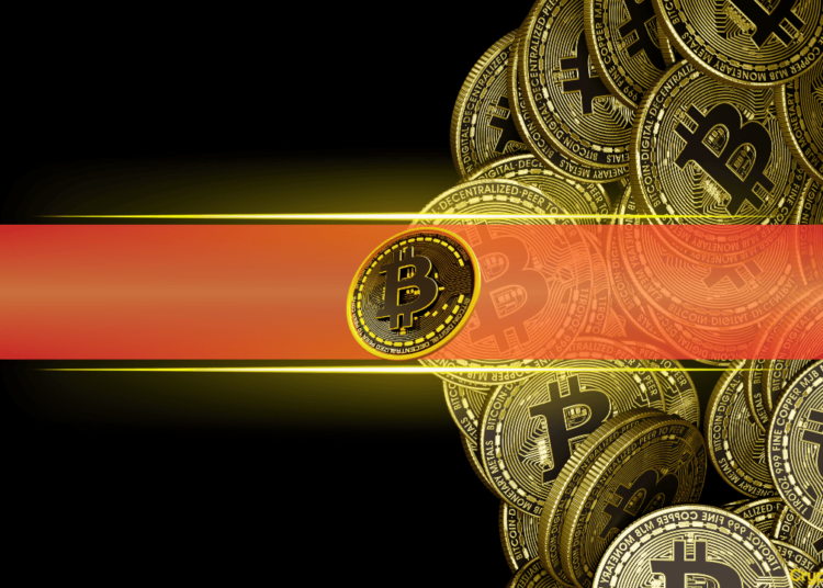 Bitcoin Accumulation Addresses See Record Inflows as Correction Risk Looms: CryptoQuant