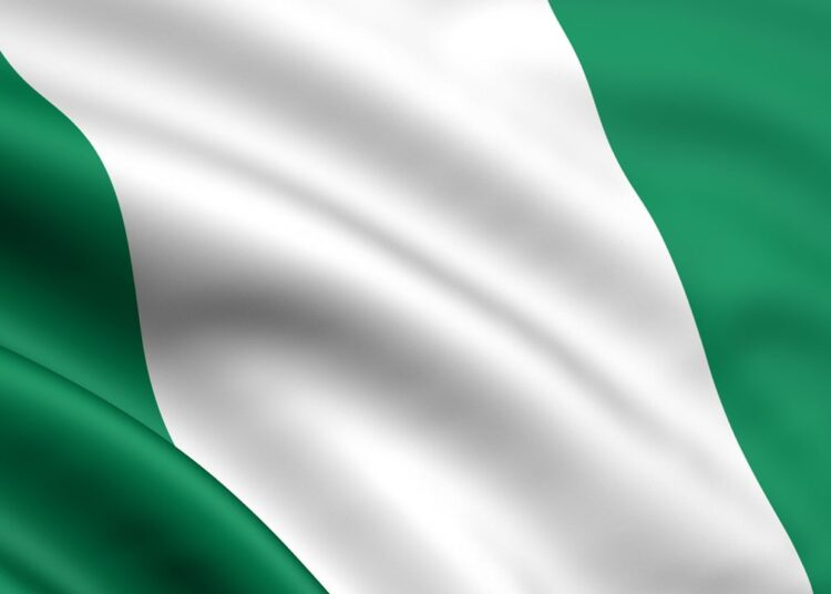 The Nigerian Government and Binance: The Way Forward — CMO of Flincap