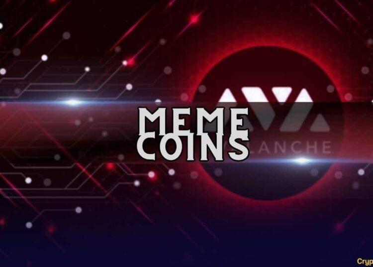 Avalanche Foundation Launches Phase 1 of Meme Coin Rush