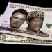 Nigerian Presidential Adviser Assails Binance, Calls for Measures Against the Crypto Exchange