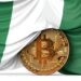 Nigerian Central Bank Not in Charge of Crypto Regulation, Says Governor