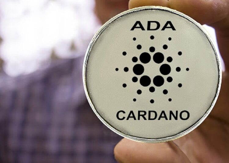 Cardano Surpasses Ethereum in Developer Engagement: Implications for ADA?