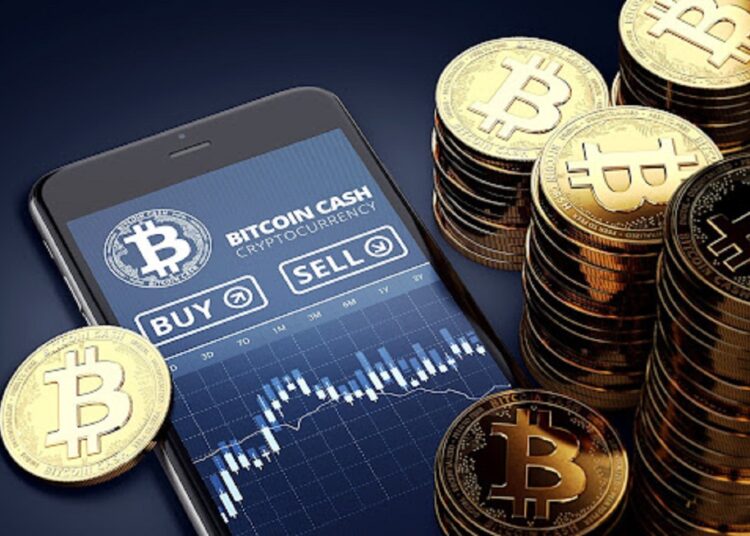 ORDI and Bitcoin Cash Have Capitalized On Bitcoin for Gains This Year – Can Borroe Finance Bank on BTC Pump for a Rally?