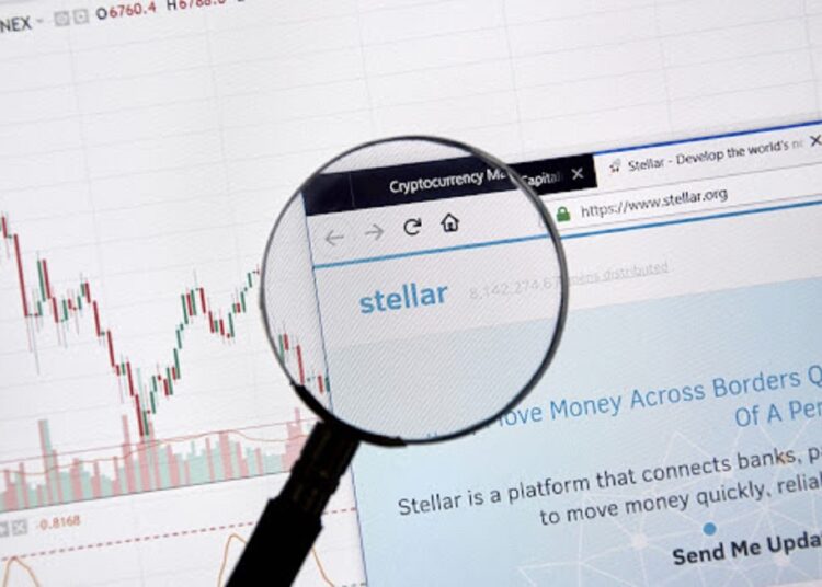 Bittensor and Stellar Holders Go for More Promising Price Action on the Milei Moneda Presale