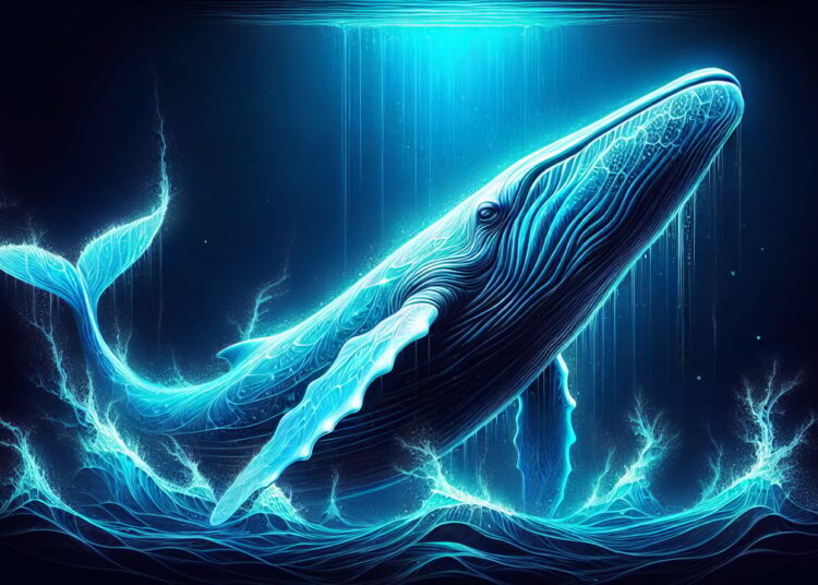 The Tale of the Mysterious 2010 Bitcoin Whale: A Pattern of Consistent Liquidation Uncovered