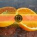 Bitcoin’s Fourth Halving Is Now Completed (Details)