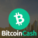 230,000 New Investors Join Frenzy Ahead of Halving, Driving BCH Price Surge