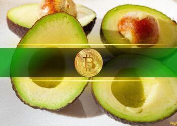 Exploring the Impact on Price Over Time