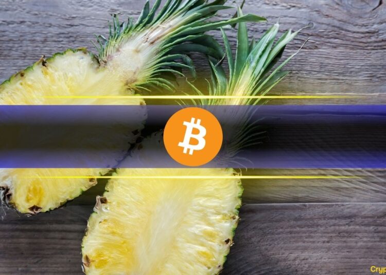 Bitcoin’s Current 18% Retrace Is Right on Schedule and Is Actually Good News: Here’s Why