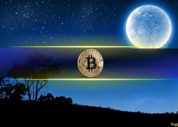 Bitcoin Could Skyrocket to $650K If This Happens, According to Willy Woo