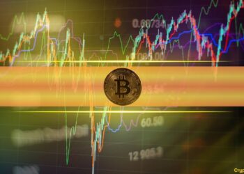 Here’s Why Bitcoin Will Lag its S2F Valuation By 5-10 Years, According to Willy Woo