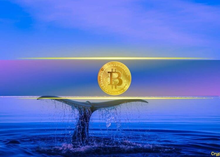 Dormant Bitcoin Whale Awakes as BTC Price Heads Toward $70K