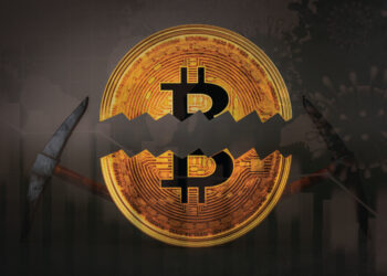 How Should the Bticoin Halving Impact the Cryptocurrency Market
