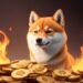 DNS Domain Provider Accepts SHIB and BONE on Shibarium