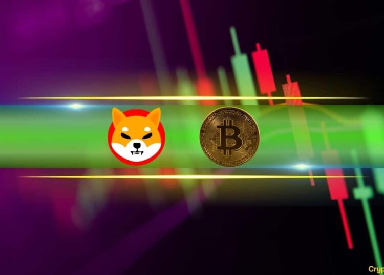 Shiba Inu (SHIB) Explodes 18% Daily, Bitcoin (BTC) Taps $65K (Weekend Watch)