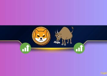 Critical Shiba Inu Metric Spikes by 50% Amid SHIB Price Rally: Details