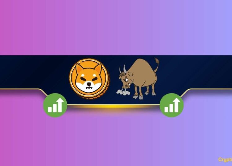 Critical Shiba Inu Metric Spikes by 50% Amid SHIB Price Rally: Details