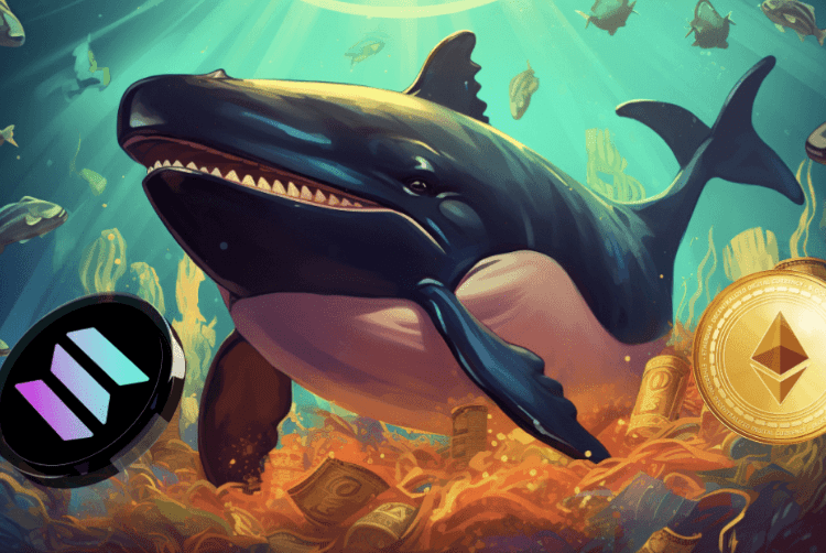 Ethereum and Solana's Whales Big Move: Fezoo's Presale Gains Traction in bid to Outshine OKX as Mega Gains Prediction in New Exchange