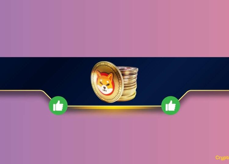 Should You Buy Shiba Inu (SHIB) Now? This Bitcoin Proponent Thinks So