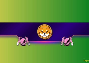 Where is SHIB Headed in 2024?