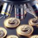 Buterin, Yakovenko and Gün Sirer: Crypto Creators Take on the Meme Coin Phenomenon