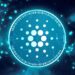 Grayscale Removes Cardano From Its Crypto Large Cap Fund