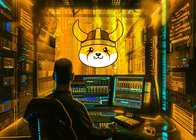 Over 12,000,000 Binance Pay Users Can Now Use Memecoin Floki To Spend on Goods and Services