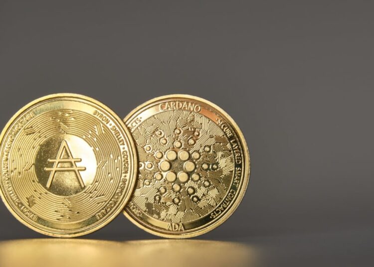 Charles Hoskinson Criticizes Cardano ‘Dunking,’ Expresses Concern Over ‘Carnival Barkers’ Dominance