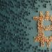 Stacks Launches Nakamoto Upgrade to Enhance Bitcoin L2 Functionality