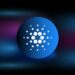 Cardano’s Whale Departure Shakes Confidence, Anticipation High for Polkadot and Filecoin Rival