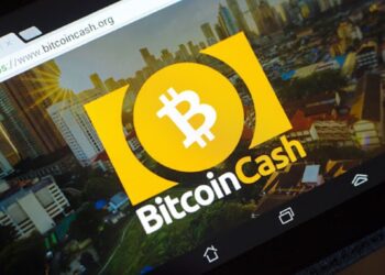 Bitcoin Cash And Ethena Bounce To Previous Price Ranges; Is It The Best Market Condition To Buy Borroe Finance?