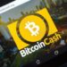 Bitcoin Cash And Ethena Bounce To Previous Price Ranges; Is It The Best Market Condition To Buy Borroe Finance?