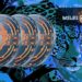 Toncoin And Aptos Dip Despite Market-Wide Surge; Milei Moneda ($MEDA) Continues To Receive New Investors Like Usual