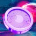 As Altcoins Take a Dip Against Bitcoin, One Crypto Analyst Breaks Down Opportunities for Traders