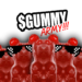 Upcoming $GUMMY New Staking Meta To Take the Solana Ecosystem By Storm