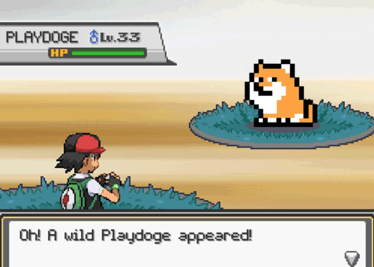 PlayDoge Token ICO Goes Live – Top Meme Crypto To Buy Early?