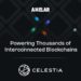 Axelar Adds Interoperability to Rollkit, Delivering Interconnectivity for Thousands of Blockchains Built With Celestia Underneath