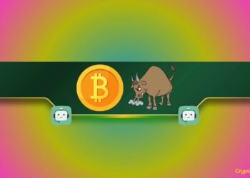 We Asked ChatGPT if Bitcoin Will Enter a Massive Bull Run in 2024