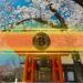 This Public Japanese Firm Has Added Bitcoin as Its Reserve Asset
