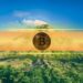 This is How Much Bitcoin (BTC) El Salvador Has Mined Using Volcanic Energy: Report