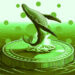 Cardano Whale Signal Historically Correlated With Price Reversals Flashes Green: Santiment