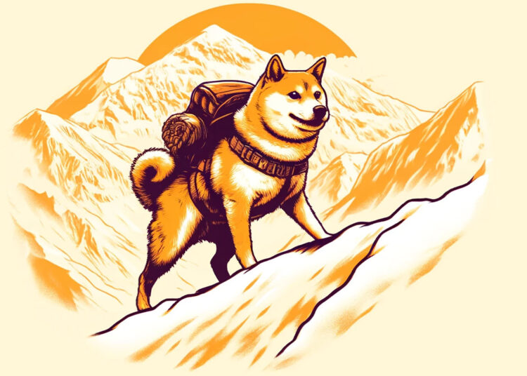 Dogecoin Mirroring Price Action That Preceded Massive Bull Runs in the Past, Says Trader – Here’s His Outlook