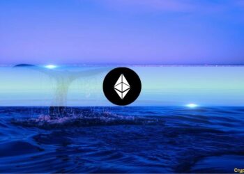 Ethereum Whales with Over 10,000 ETH Surging, Signaling Accumulation Trend