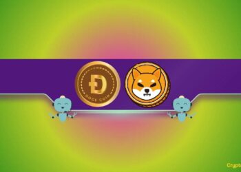 Which Meme Coin Will Perform Best This Year