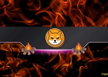Shiba Inu Burn Rate Soars 90% Daily: SHIB Price Rally Incoming?
