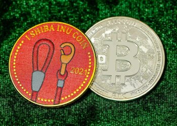 Will Altcoins Overtake Bitcoin Investment Returns in the Future?