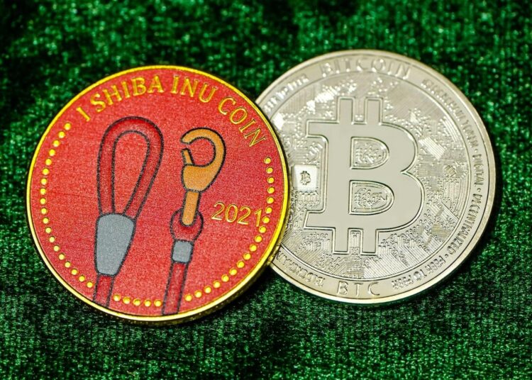 Will Altcoins Overtake Bitcoin Investment Returns in the Future?